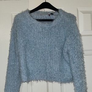 Shaggy Blue